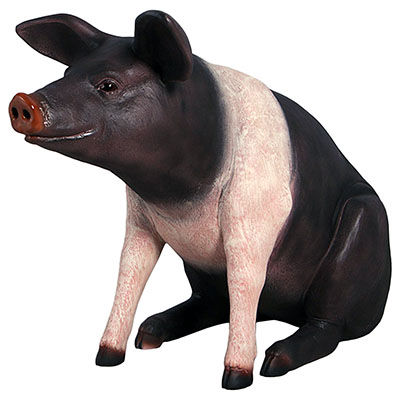 Resin Large Sitting Saddleback Pig